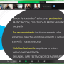 webinar-omnia-ucn-gestion-socioemocional-convivencia-escolar-fundacion-entrepreneur-19