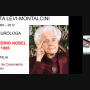 cecilia-hidalgo-webinar-mujeres-stem-ucn-ua-fundacion-entrepreneur-7